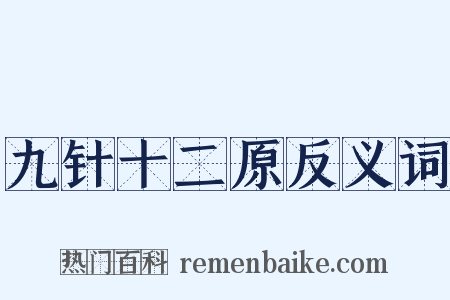 九针十二原反义词是什么意思的图片